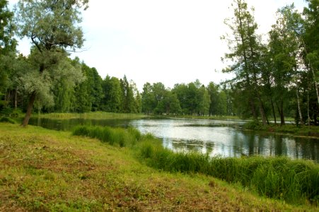 DSC02464
