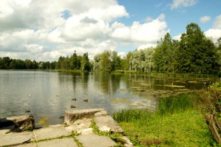 DSC02430