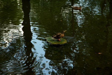 DSC02406