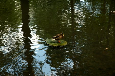 DSC02407