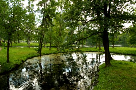 DSC02402