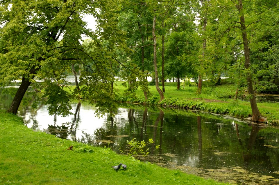 DSC02396