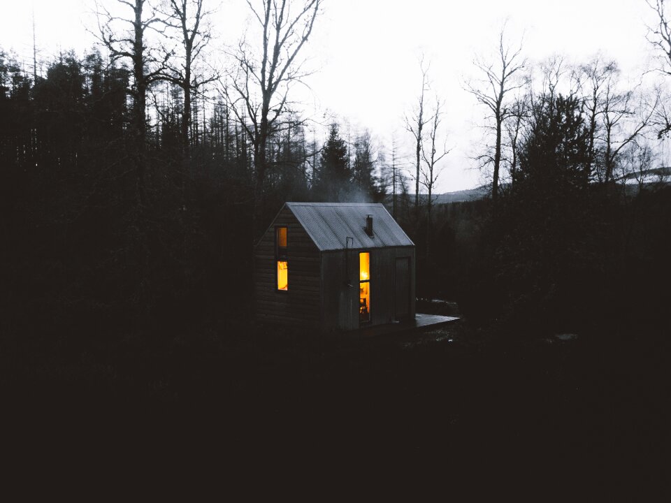 House forest silhouette
