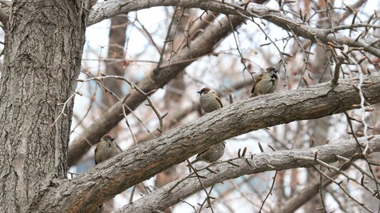 Outdoors wildlife new