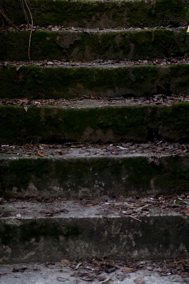 Background texture stone