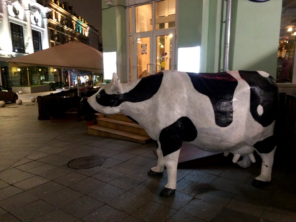 img0 - 237