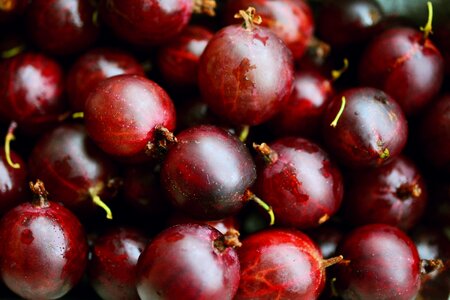Fruit berries vitamins