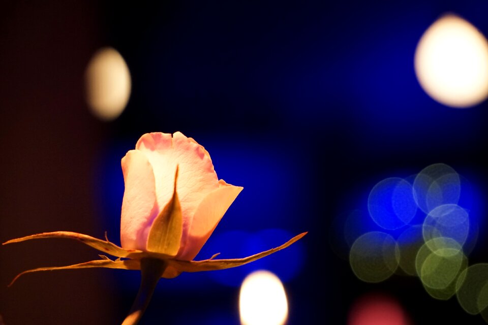 Color blur light