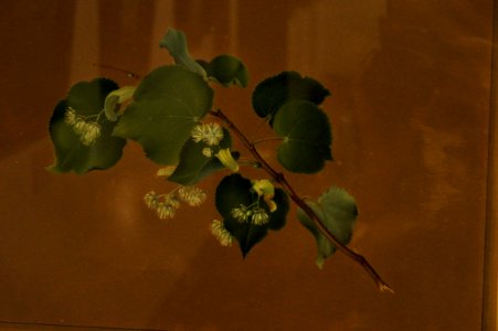 DSC01544
