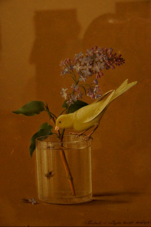 DSC01546