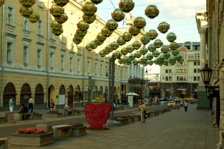 DSC01713