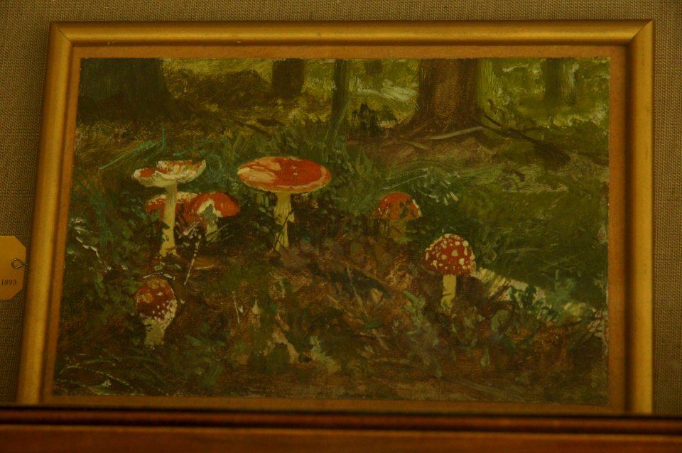 DSC01301