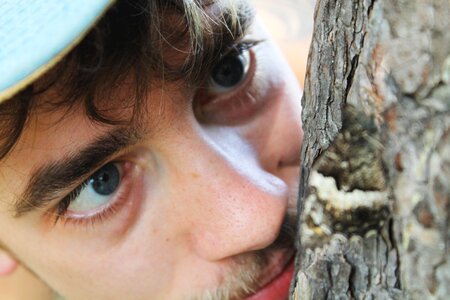 Tree observation nature