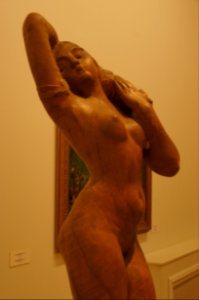 DSC00611