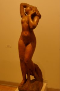 DSC00609