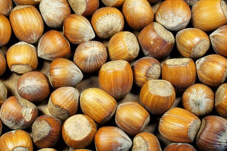 Nuts food nut