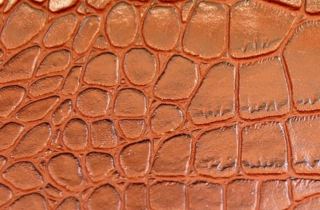 The structure of the stamped surface