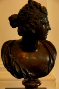 DSC09752