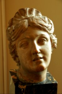 DSC09735