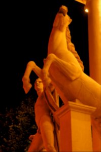 DSC09515