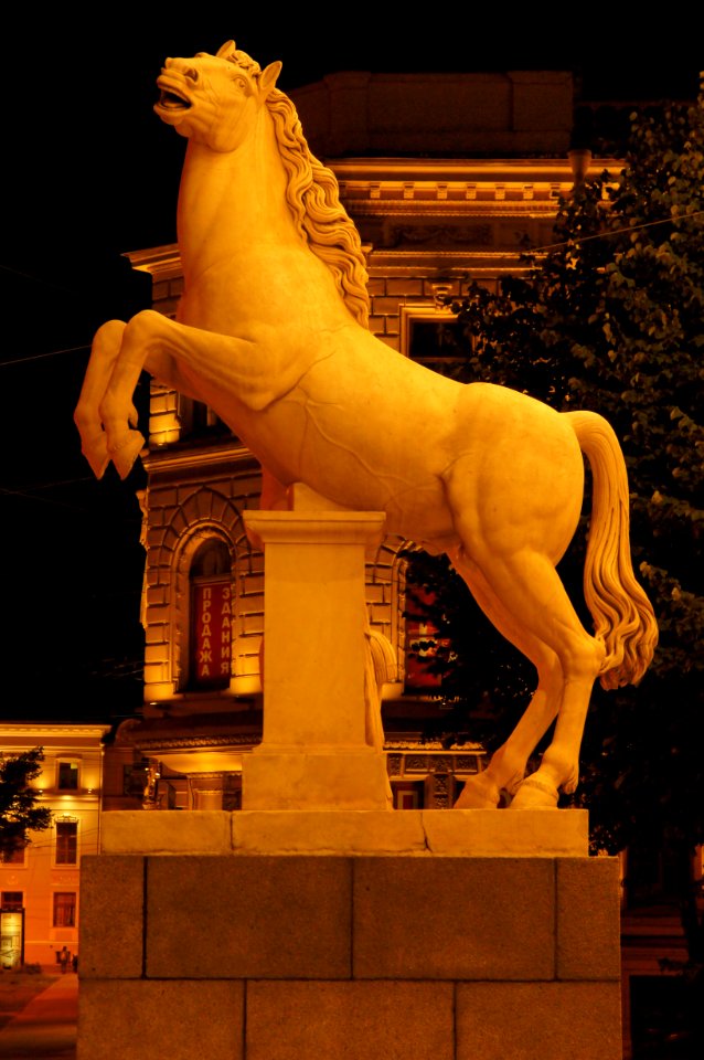 DSC09514