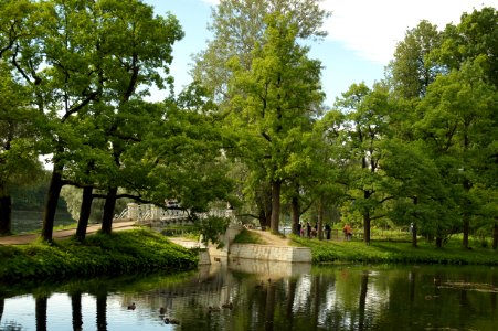 DSC09400