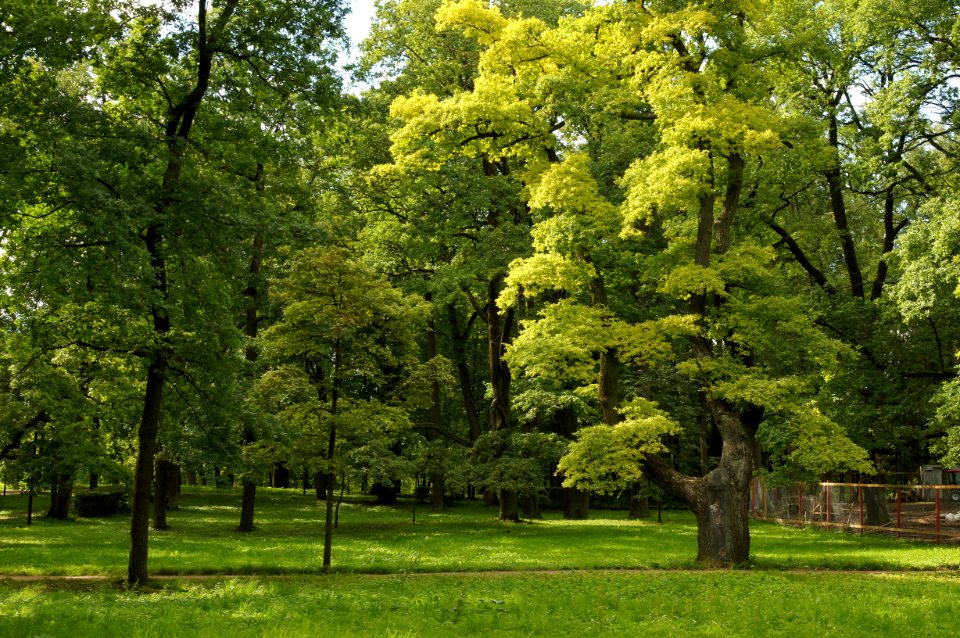 DSC09406