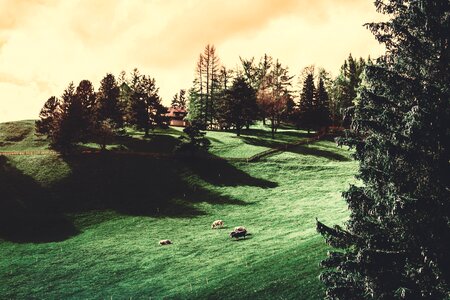 Farm countryside rural photo