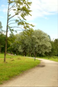 DSC09339