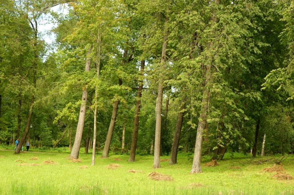 DSC09327