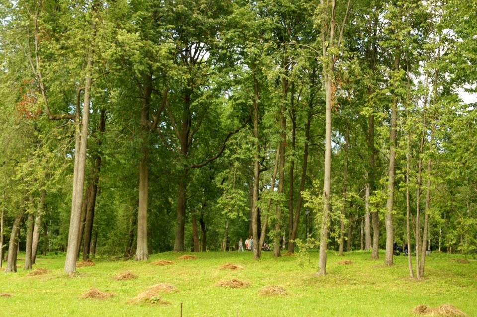 DSC09313