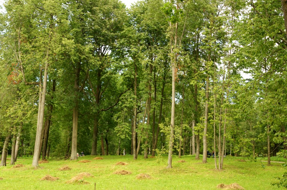 DSC09312
