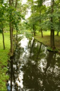 DSC09295