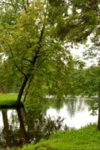 DSC09277