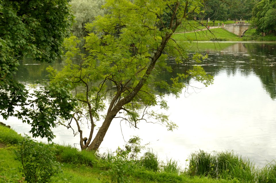 DSC09270