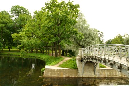 DSC09260