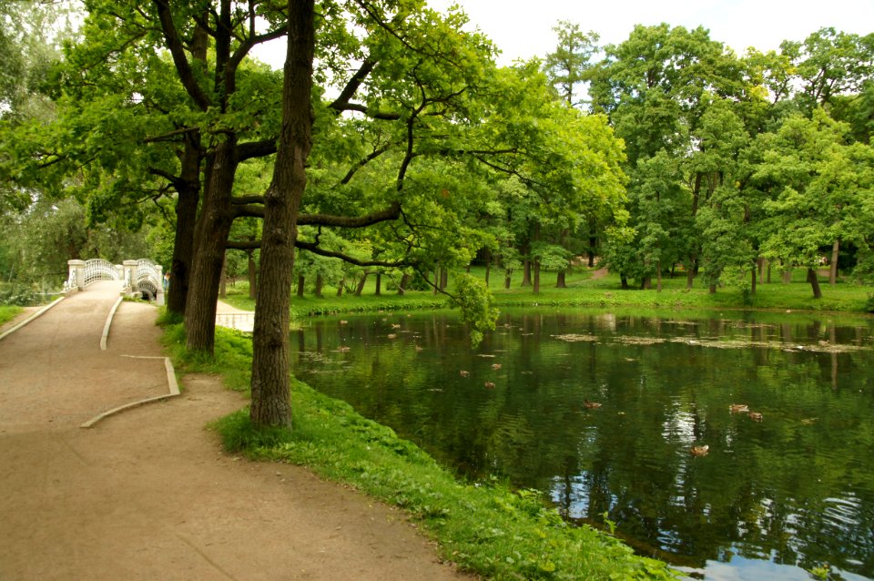 DSC09258