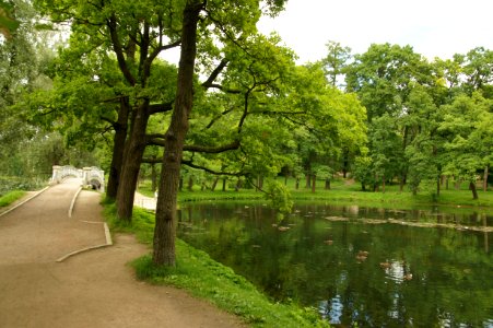 DSC09257