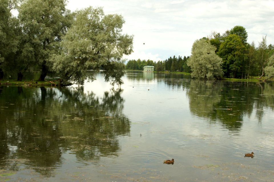 DSC09252