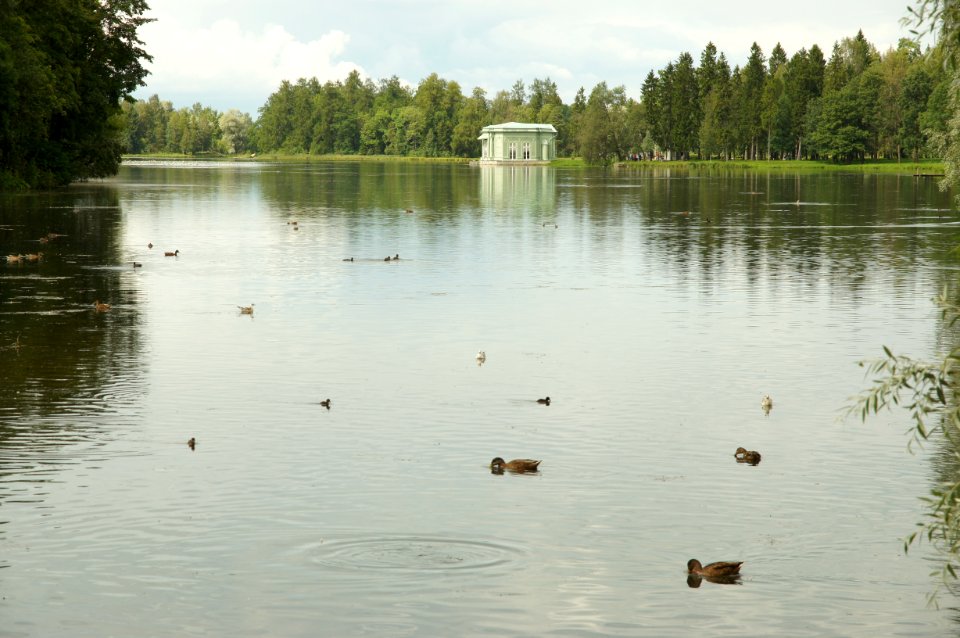 DSC09250