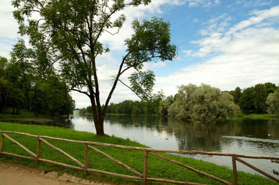 DSC09246