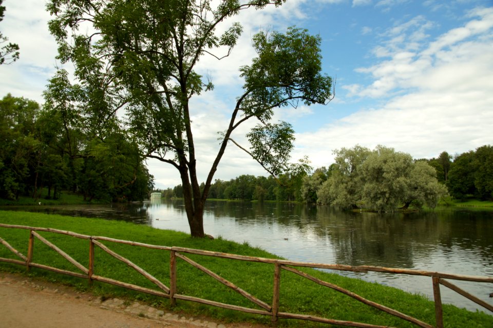 DSC09245