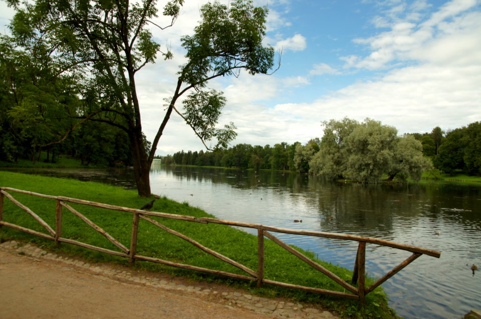 DSC09244