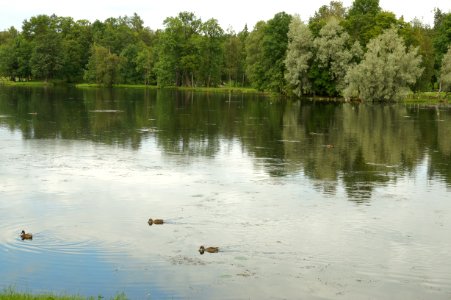 DSC09239
