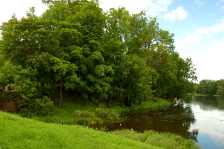 DSC09237