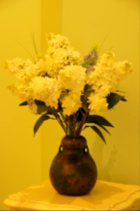 DSC09061