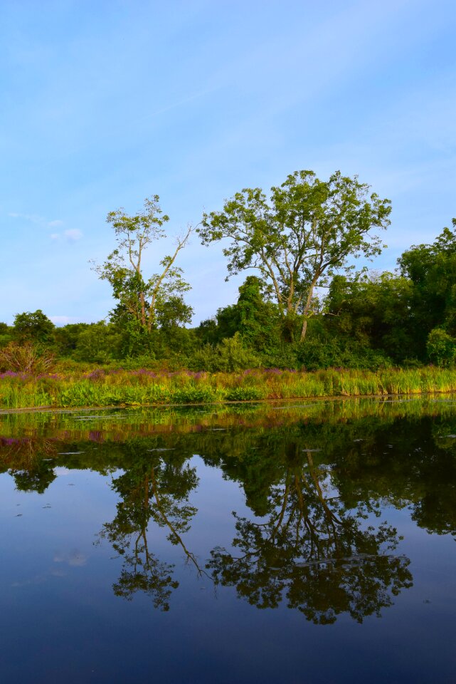 Landscape nature sky