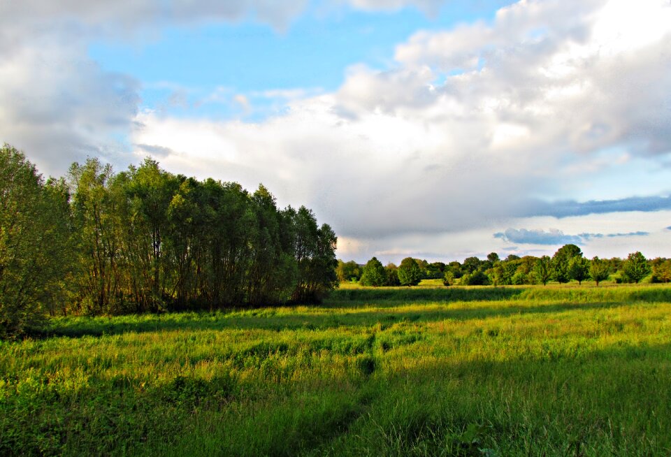 Nature landscape spring
