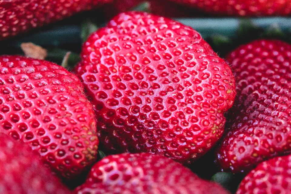 Dessert pink fruits pink dessert