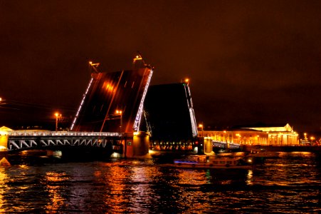 DSC08654